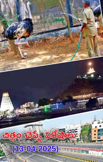 చిత్రం చెప్పే విశేషాలు