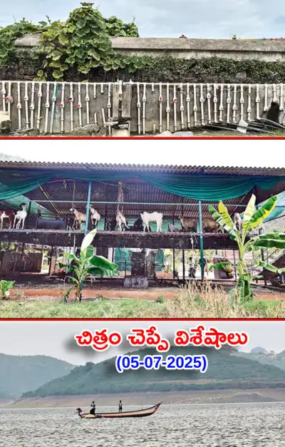 చిత్రం చెప్పే విశేషాలు 05 07 2025 