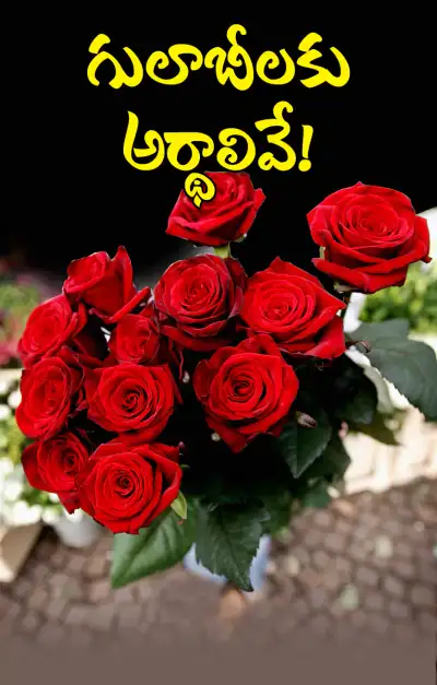 రంగు రంగుల గులాబీలకు అర్థాలు తెలుసా 