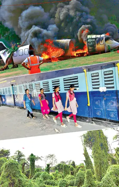 చిత్రం చెప్పే విశేషాలు  29 06 2025 