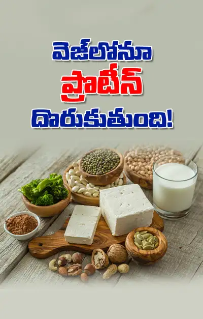 శాకాహారుల ప్రొటీన్‌కు ప్రత్యామ్నాయాలివీ 