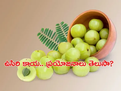 ఉసిరికాయ ప్రయోజనాలు తెలుసా 