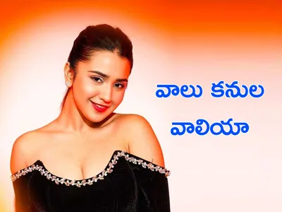 వాలు కనుల వాలియా  