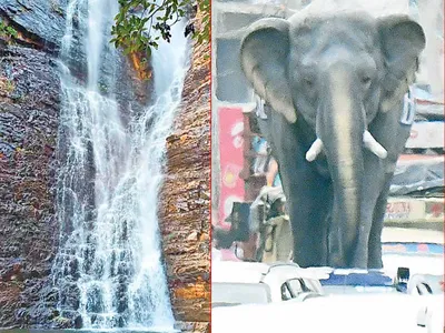 చిత్రం చెప్పే విశేషాలు  02 11 2022 1 