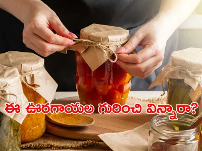 ఊరగాయలందు విదేశీ ఊరగాయలు వేరయా 