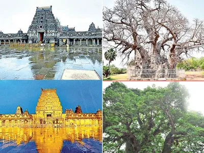  చిత్రం చెప్పే విశేషాలు   23 07 2022 