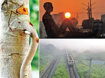 చిత్రం చెప్పే విశేషాలు    08 11 2022 1 