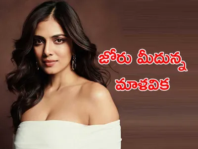 స్టార్‌ హీరోల సరసన మలయాళీ బ్యూటీ 