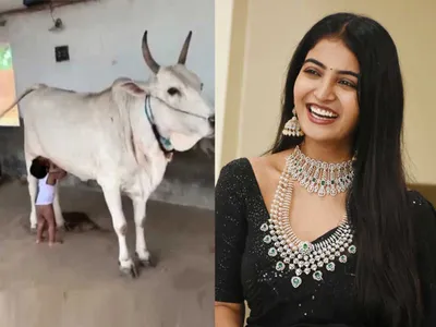 చిత్రం చెప్పే విశేషాలు    19 12 2022 2 