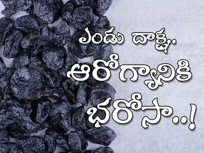 ఎండుద్రాక్ష   ఆరోగ్యానికి భరోసా