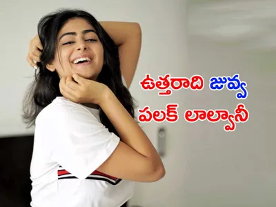 పరువాల సుందరి   పలక్‌ లాల్వానీ