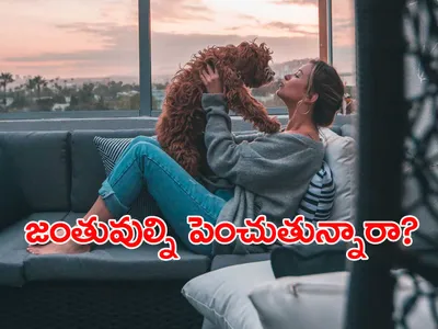 పెంపుడు జంతువుతో ఎన్ని లాభాలున్నాయో తెలుసా 