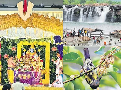 చిత్రం చెప్పే విశేషాలు    17 07 2023 1 