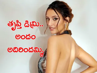 తృప్తి డిమ్రి   అదిరిందమ్మి   