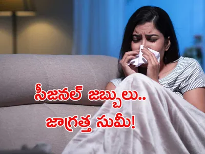 సీజనల్‌ జబ్బులు   జాగ్రత్త సుమీ 