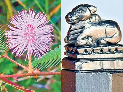 చిత్రం చెప్పే విశేషాలు  07 11 2022 1 