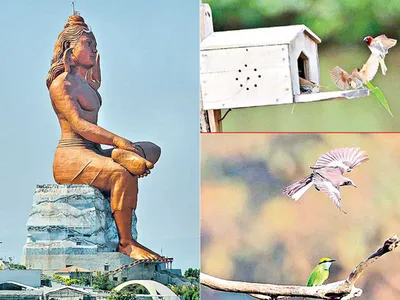 చిత్రం చెప్పే విశేషాలు    30 10 2022 1 