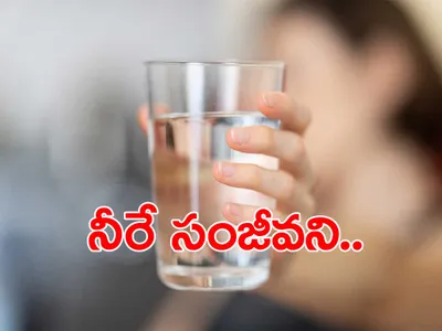 నీరు ఎప్పుడు తాగితే   ఎలాంటి ప్రయోజనం 