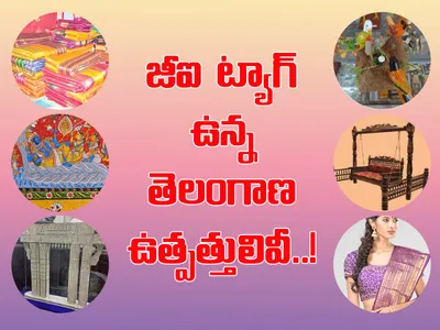 తెలంగాణలో జీఐ ట్యాగ్‌ ఉన్న ఉత్పత్తులివీ 