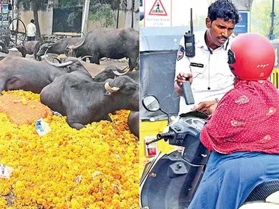 చిత్రం చెప్పే విశేషాలు  23 10 2022 1 