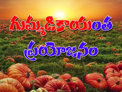 గుమ్మడికాయంత ప్రయోజనం