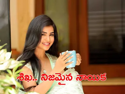 శిఖ అసలైన నాయిక  