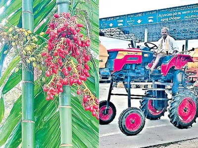 చిత్రం చెప్పే విశేషాలు    12 10 2022 1 