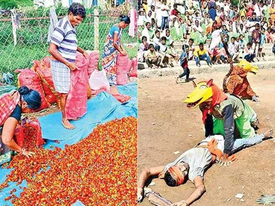 చిత్రం చెప్పే విశేషాలు  24 10 2022 1 